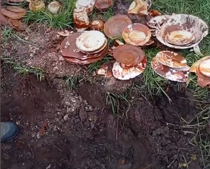 Уникальная находка: Клад немцев в бочках