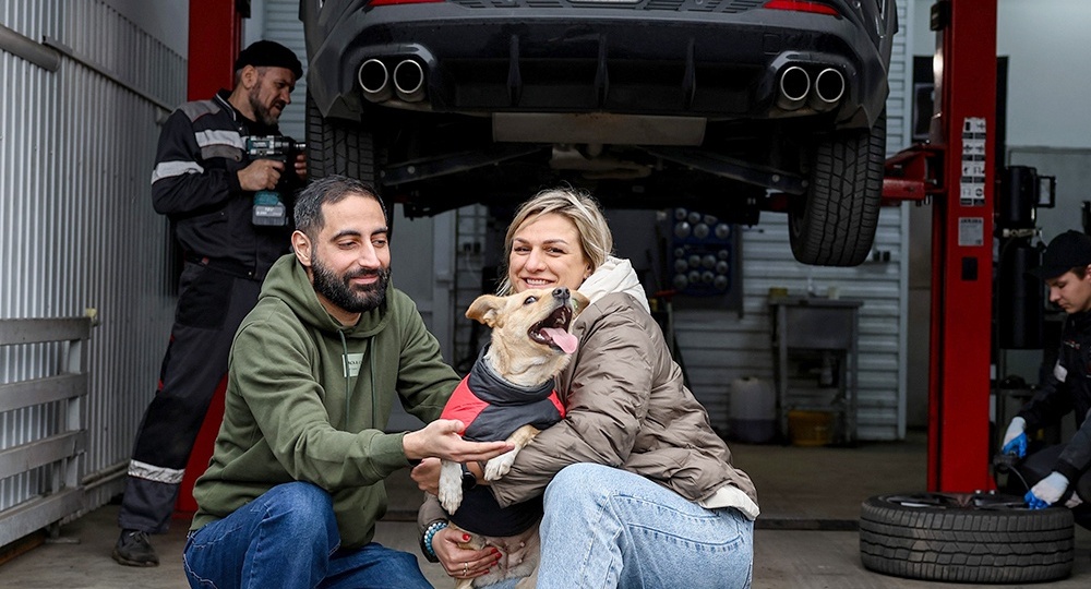 На Дону за взятого в семью пса автосервис делает бесплатный шиномонтаж