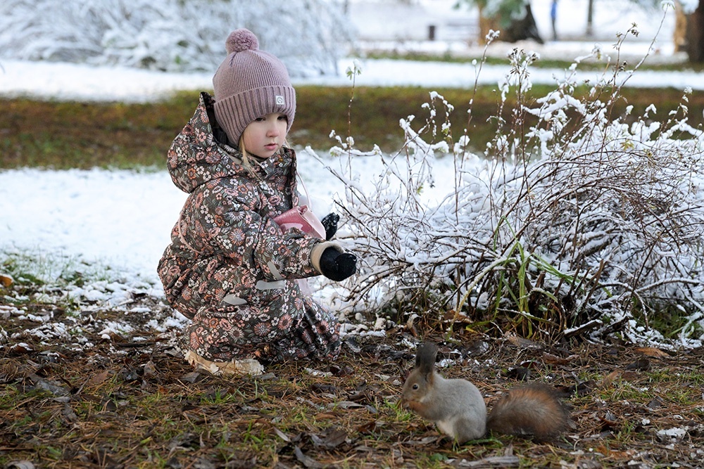    Алексей Никольский/ РИА Новости