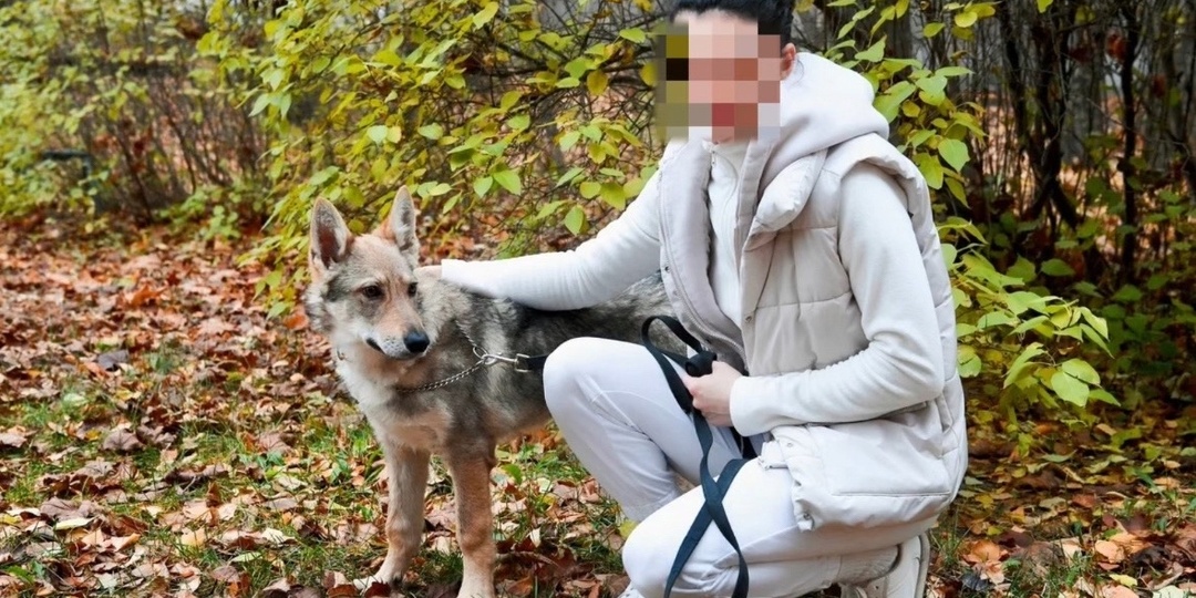«Деньги, или усыплю»: мошенники жестоко обманули хозяйку собаки в Карелии