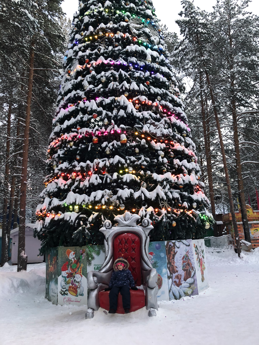 Ариша около Новогодней ели на вотчине Деда Мороза в Великом Устюге. На улице -43! Ель настоящая! Январь 2023