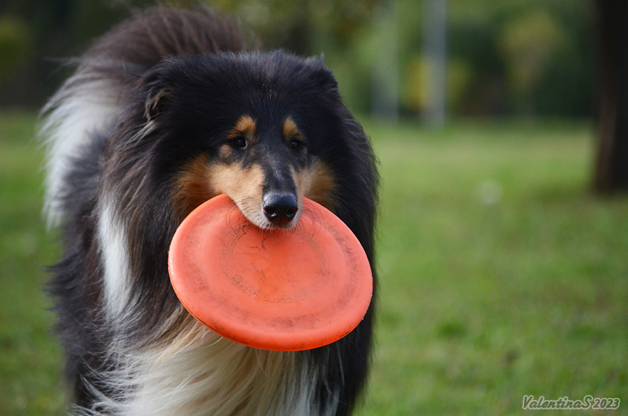 Фото из личного архива