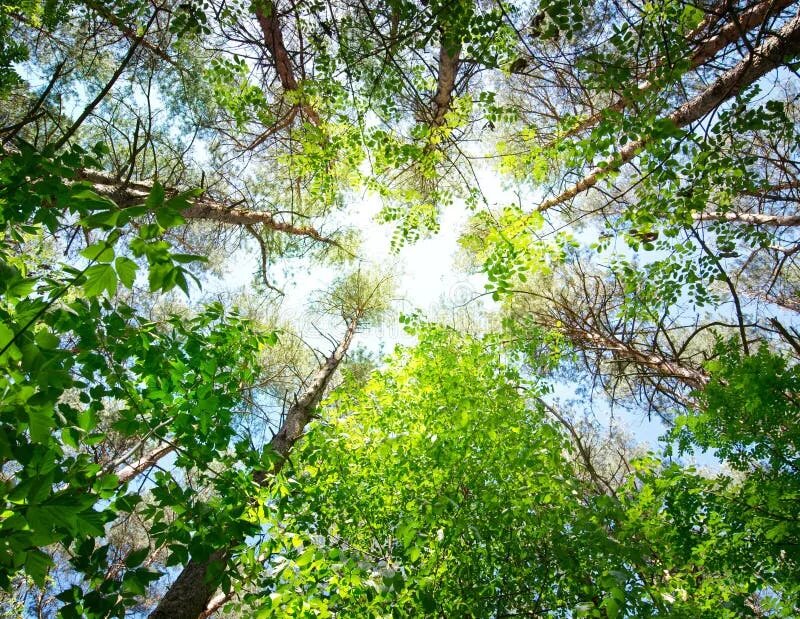 Фотография из открытого источника