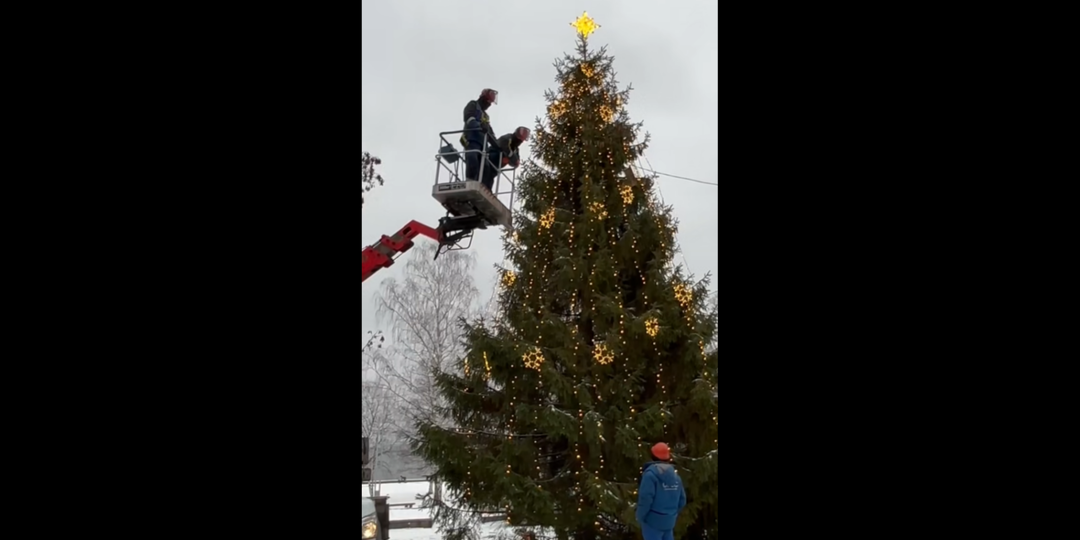 Живую новогоднюю ель украсили в Петрозаводске