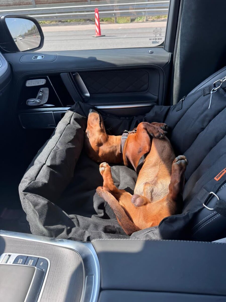 Едет в спа...или из спа...