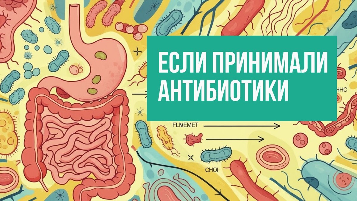 Профессор В.Е.Соколинский (ND) об ошибках в восстановлении микрофлоры после приема антибиотиков