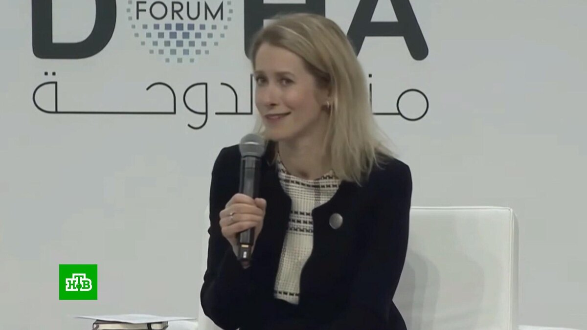    Каллас признала справедливость критики США в адрес Евросоюза