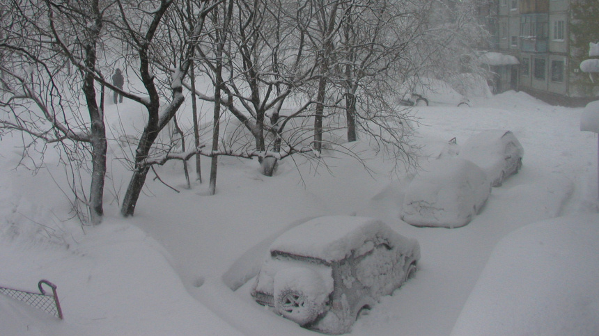    Фото: www.globallookpress.com/Alexandr Arkhipov; 5-tv.ru