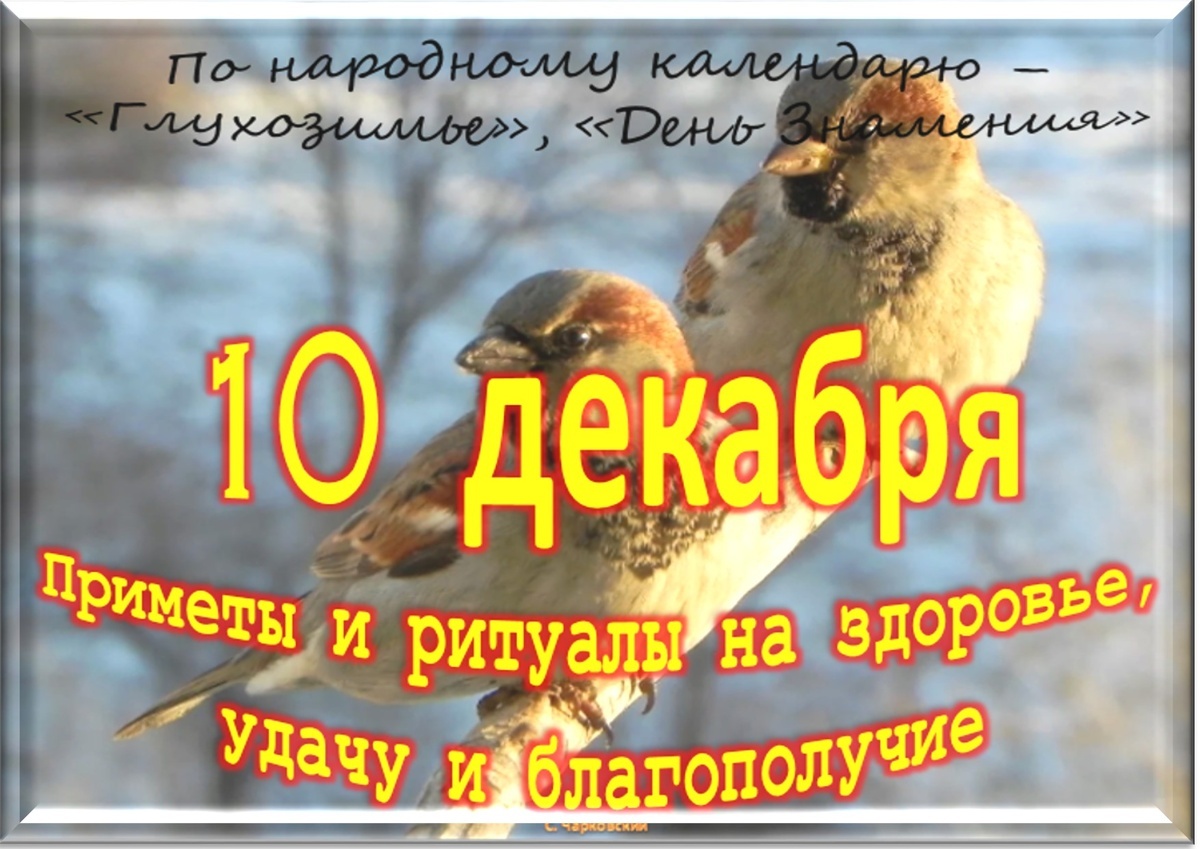 Встречаем новый день