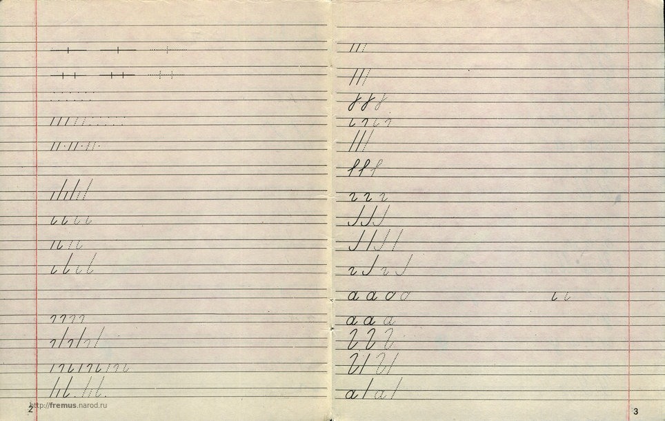 Фото взято из открытого источника