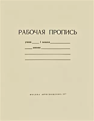 Фото взято из открытого источника