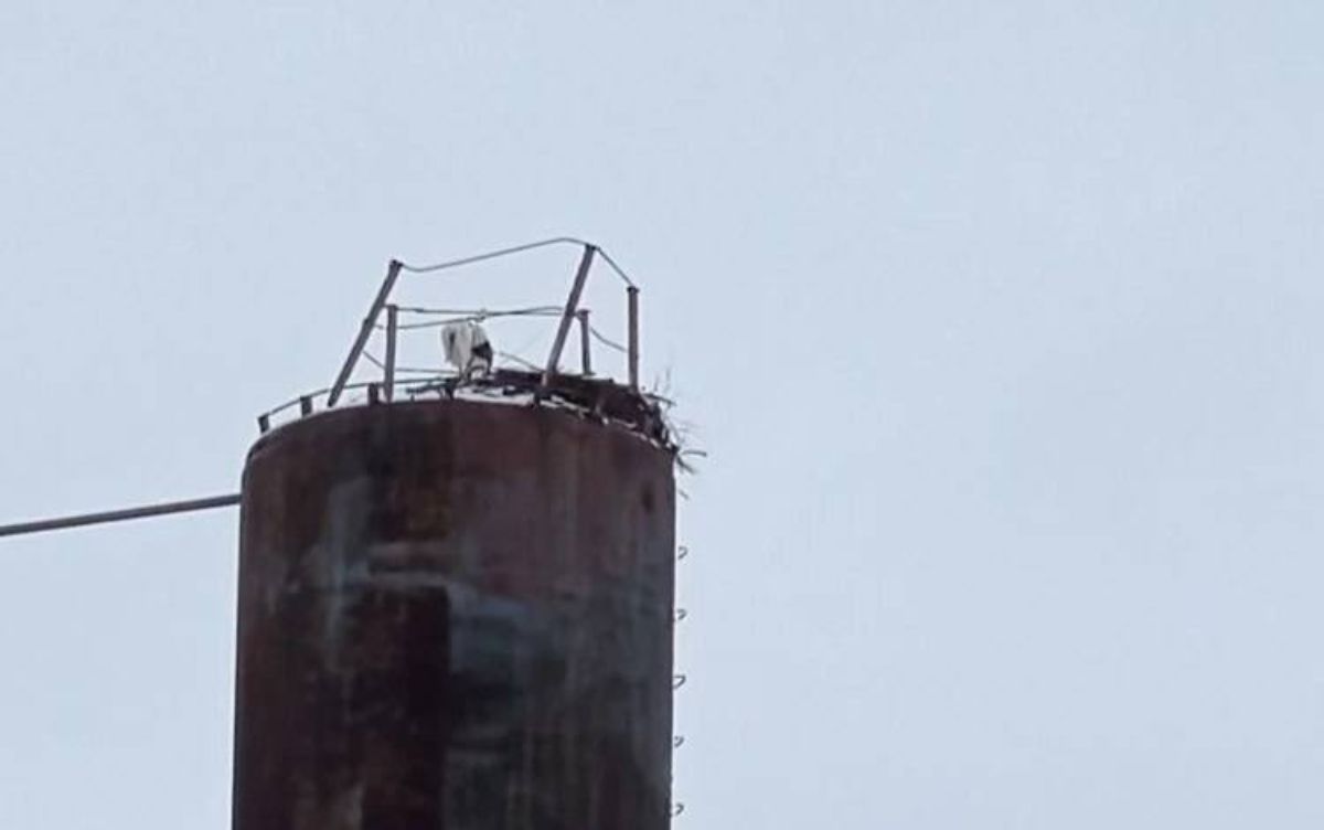    Судя по всему, забота и внимание местных жителей пришлись ей по душе