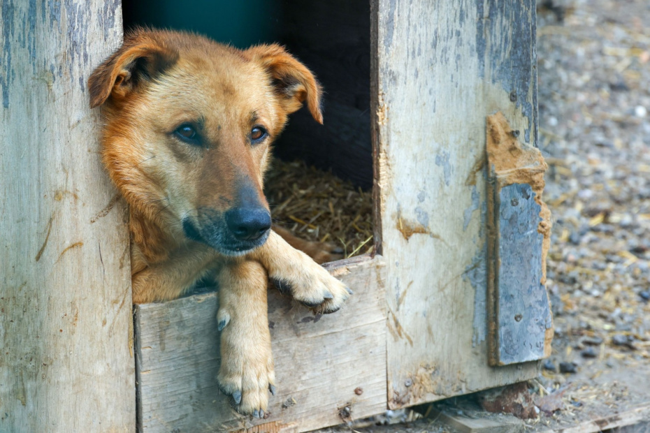    Сергей Булкин/NEWS.ru