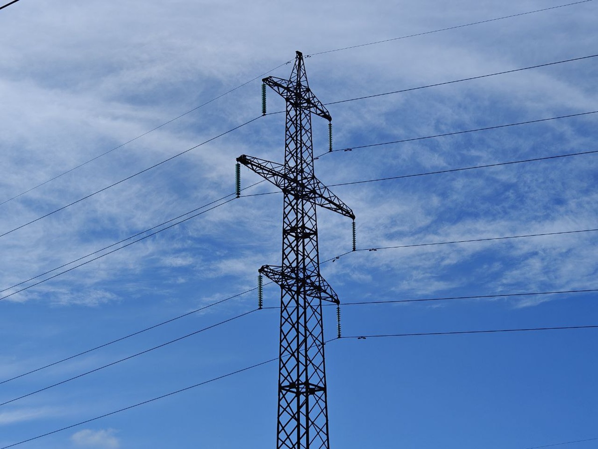    Фото: Юрий Серебренников/BFM Кубань