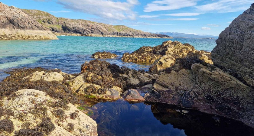    Фото Анастасии Дмитриевой