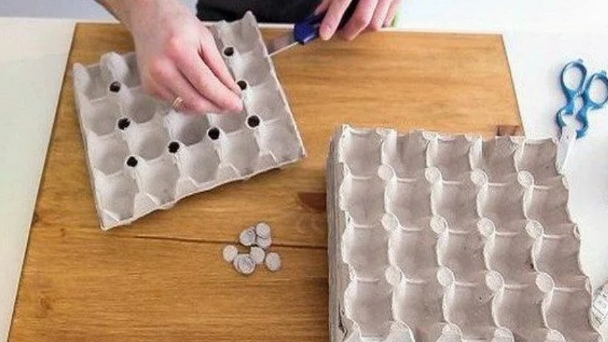 Картонные подкладки защищают корни от холода через стекло