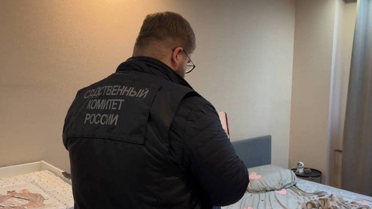    Фото: Telegram / Питерский Следком