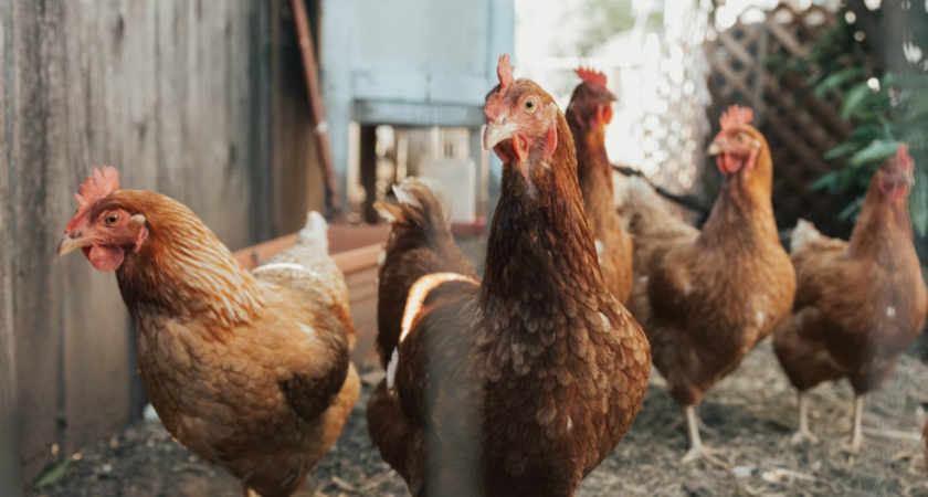    Фото с сайта unsplash.com