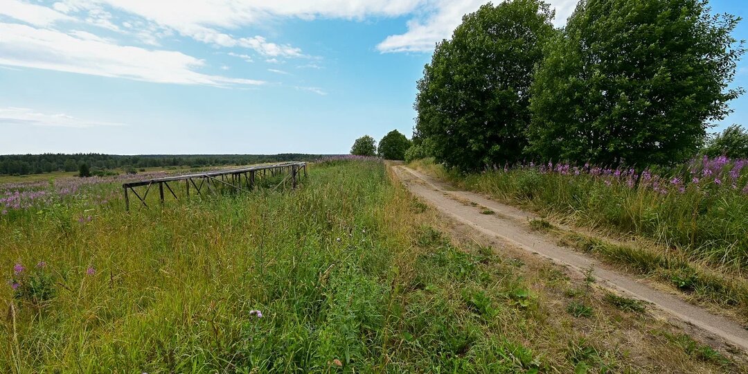 Жителя Карелии наказали за строительство дома на сельхозугодьях