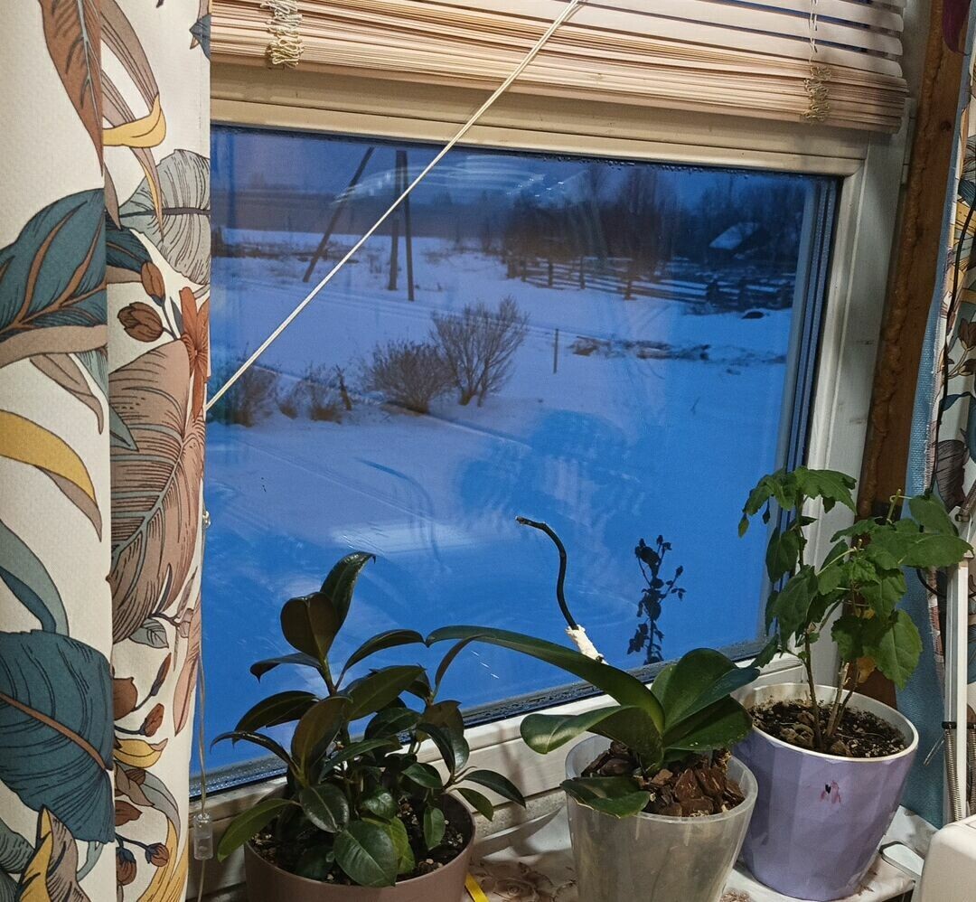 Это у нас в полчетвертого уже вот так темно