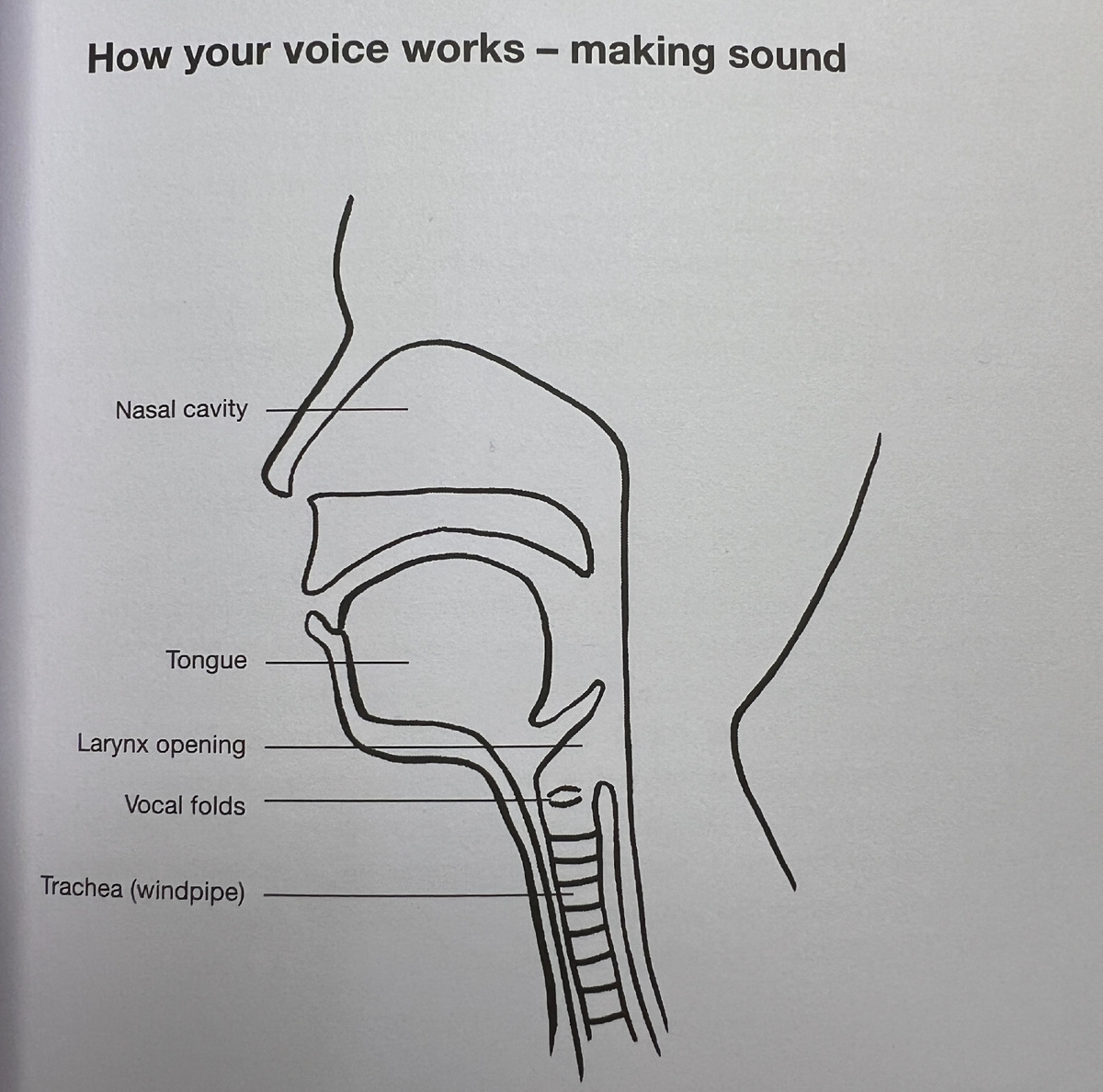 Голосовой аппарат