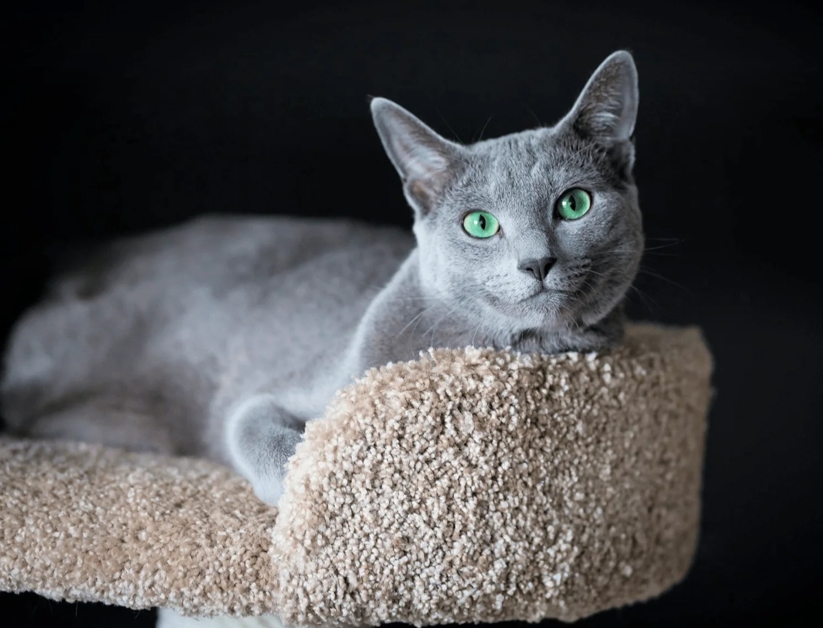 Фото из Интернета. 