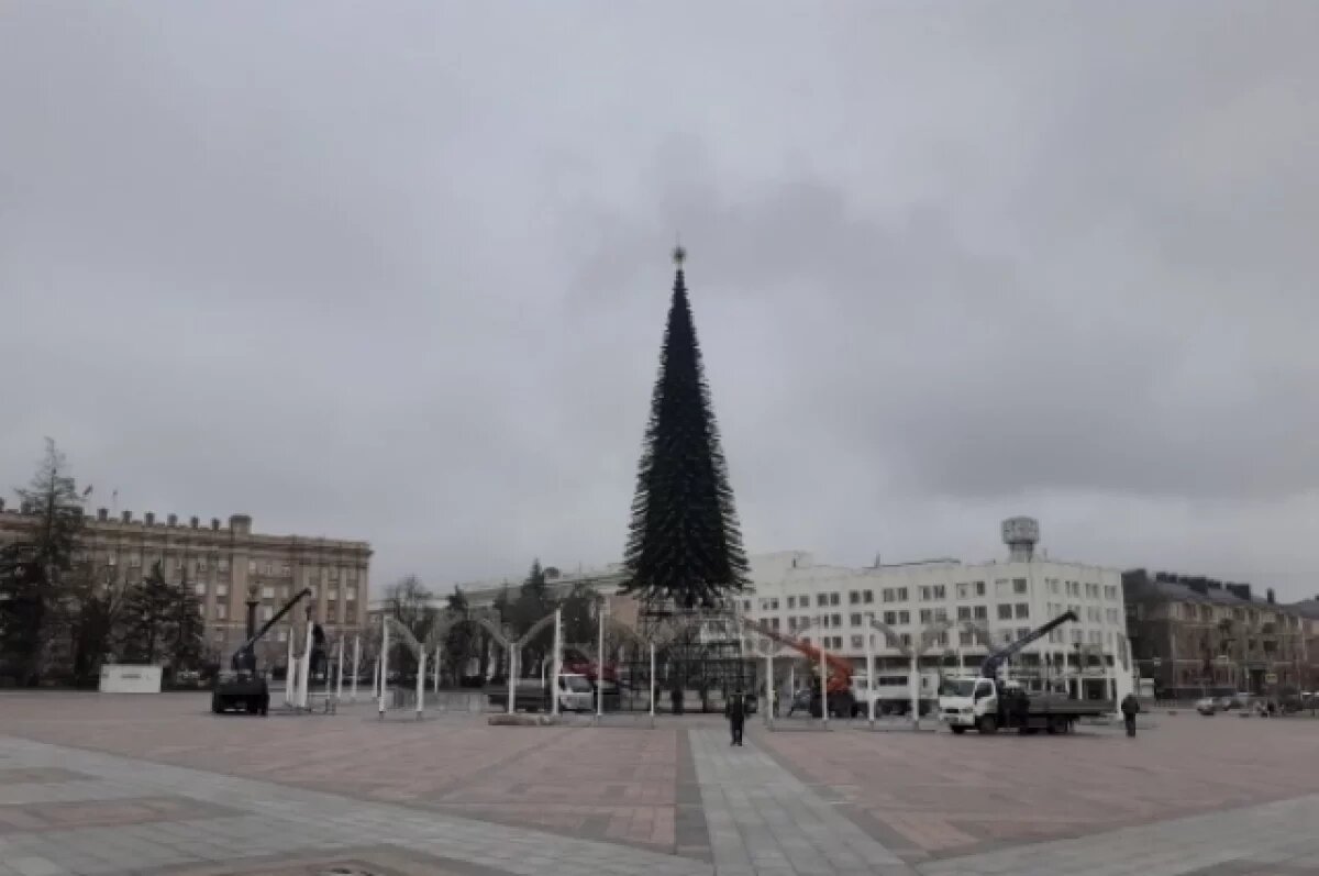    Ёлочные базары в Белгороде начнут работать с 19 декабря