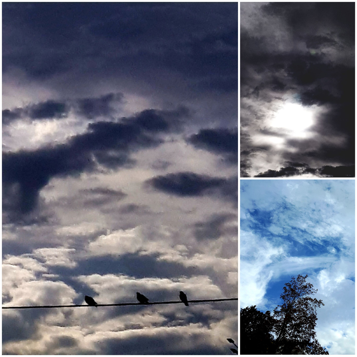 Коллаж автора 04.10.2025г.