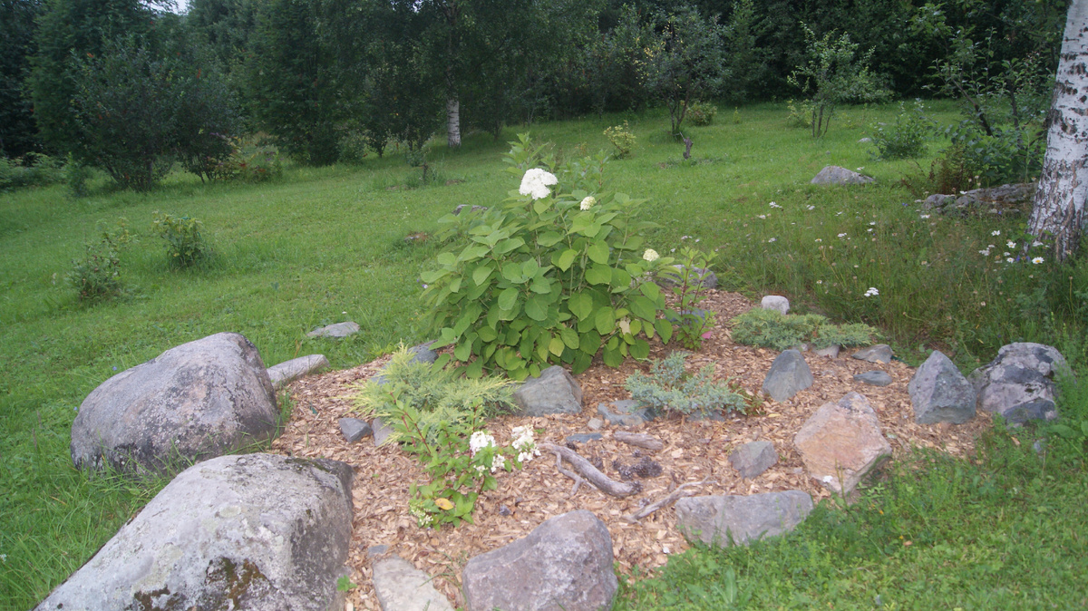 Аннабель в сезоне 2024