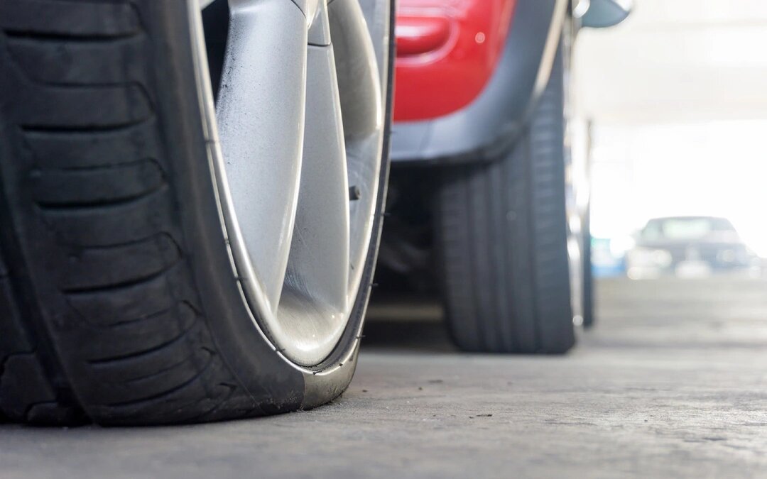 Фото: Shutterstock