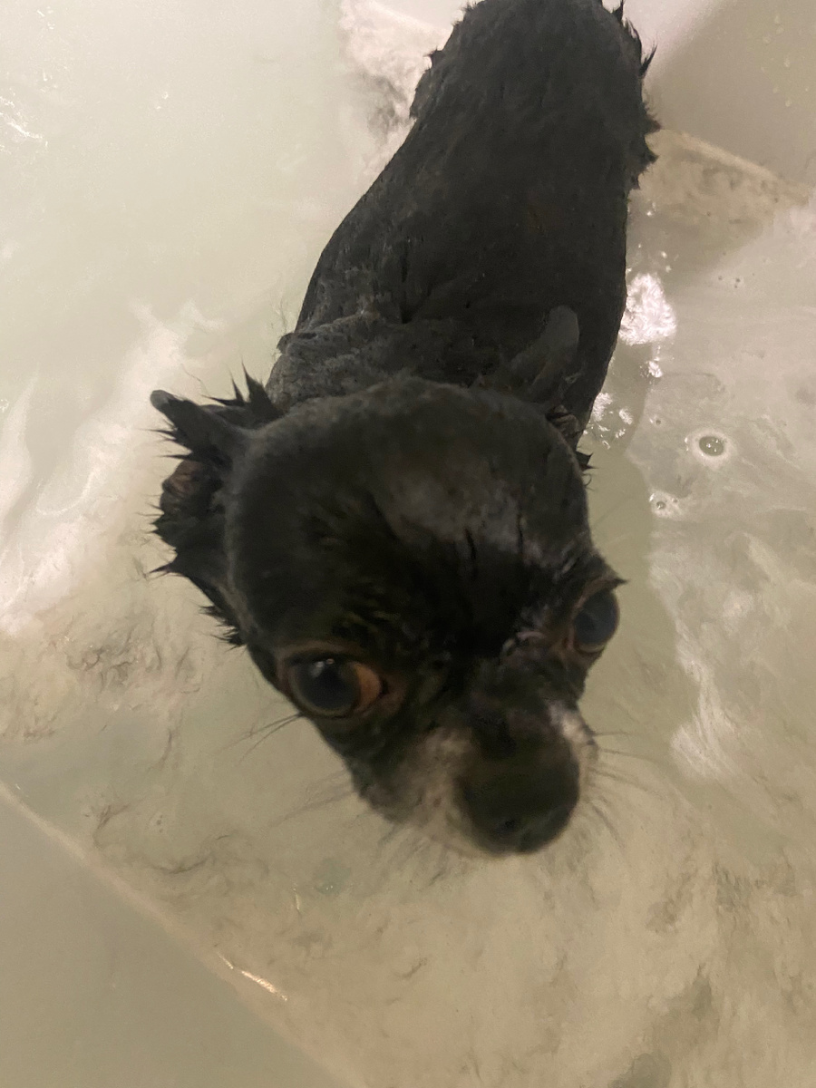 Я его недавно мыла 🙃