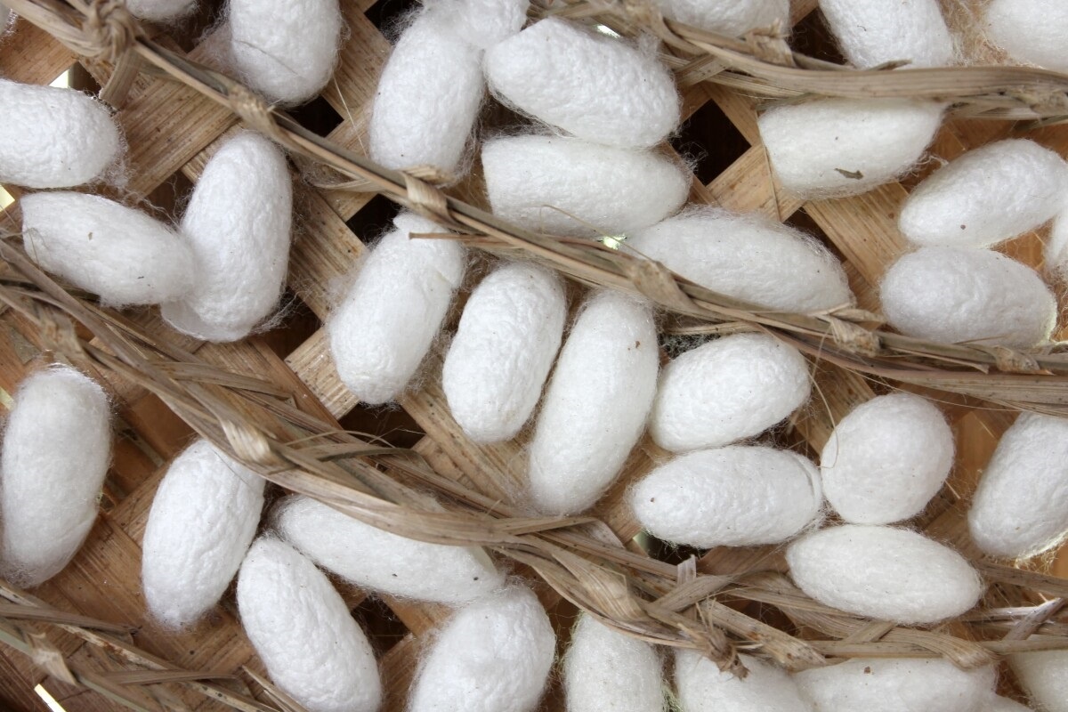 Фото с сайта: https://newatlas.com/silk-derived-material-lithium-ion-battery-performance-boost/36514/?itm_source=newatlas&itm_medium=article-body