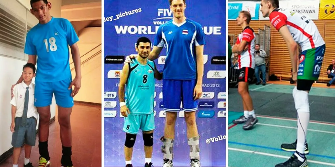 Топ-5 самых высоких волейболистов и волейболисток в мире