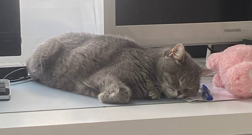    Фото Анастасии Дмитриевой