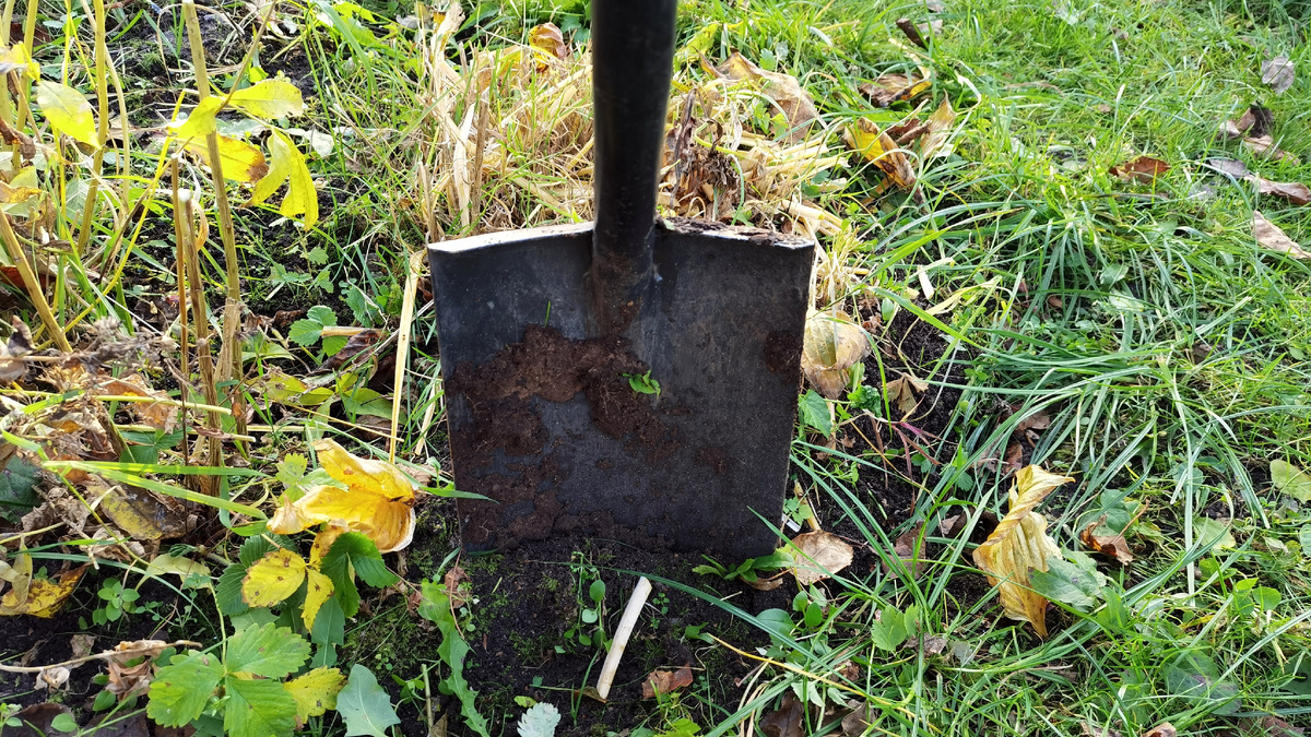 Вот с чем мне пришлось столкнуться - земля как камень