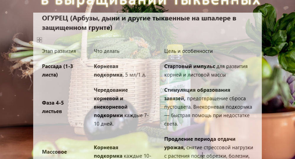 💦Общие принципы применения Спеленыш в зимнем огороде.