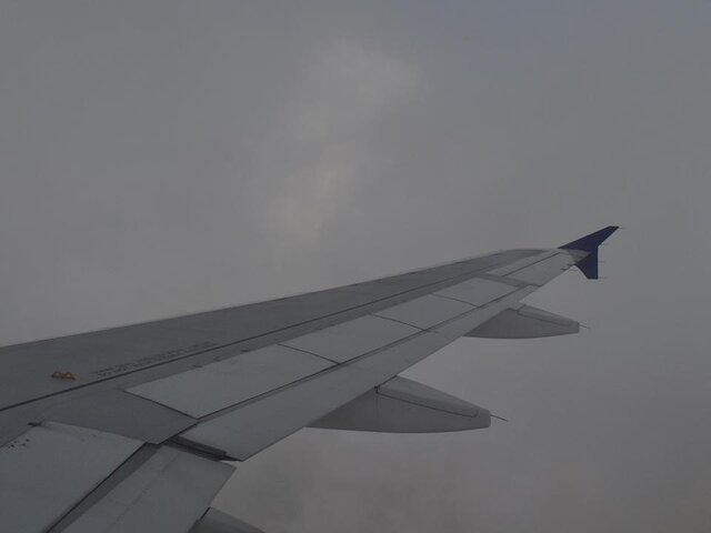    Фото: 123RF.com/maristos