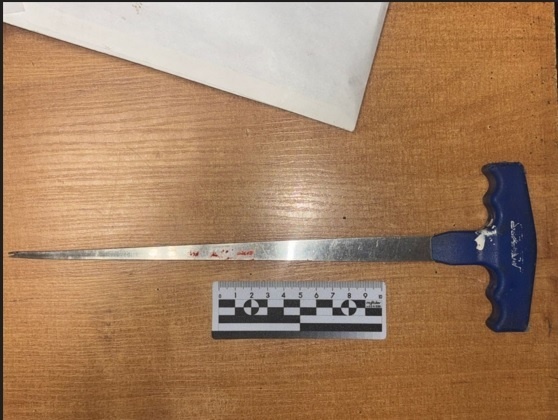    Фото ТГ-канала ГУ МВД России по РО Татьяна Пшеничная