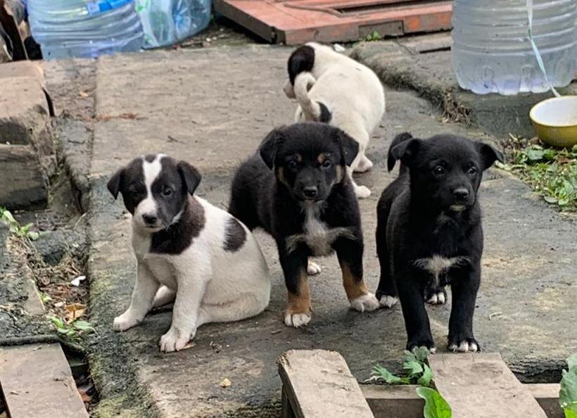 А мы тогда думали, что наш мир не так уж там и плох