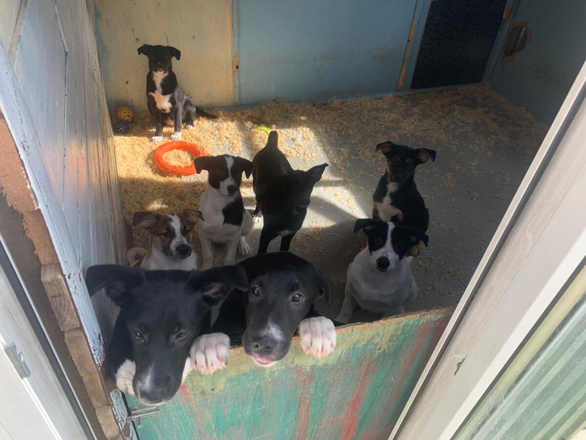 И очень переживали, что нас лишили "свободы"