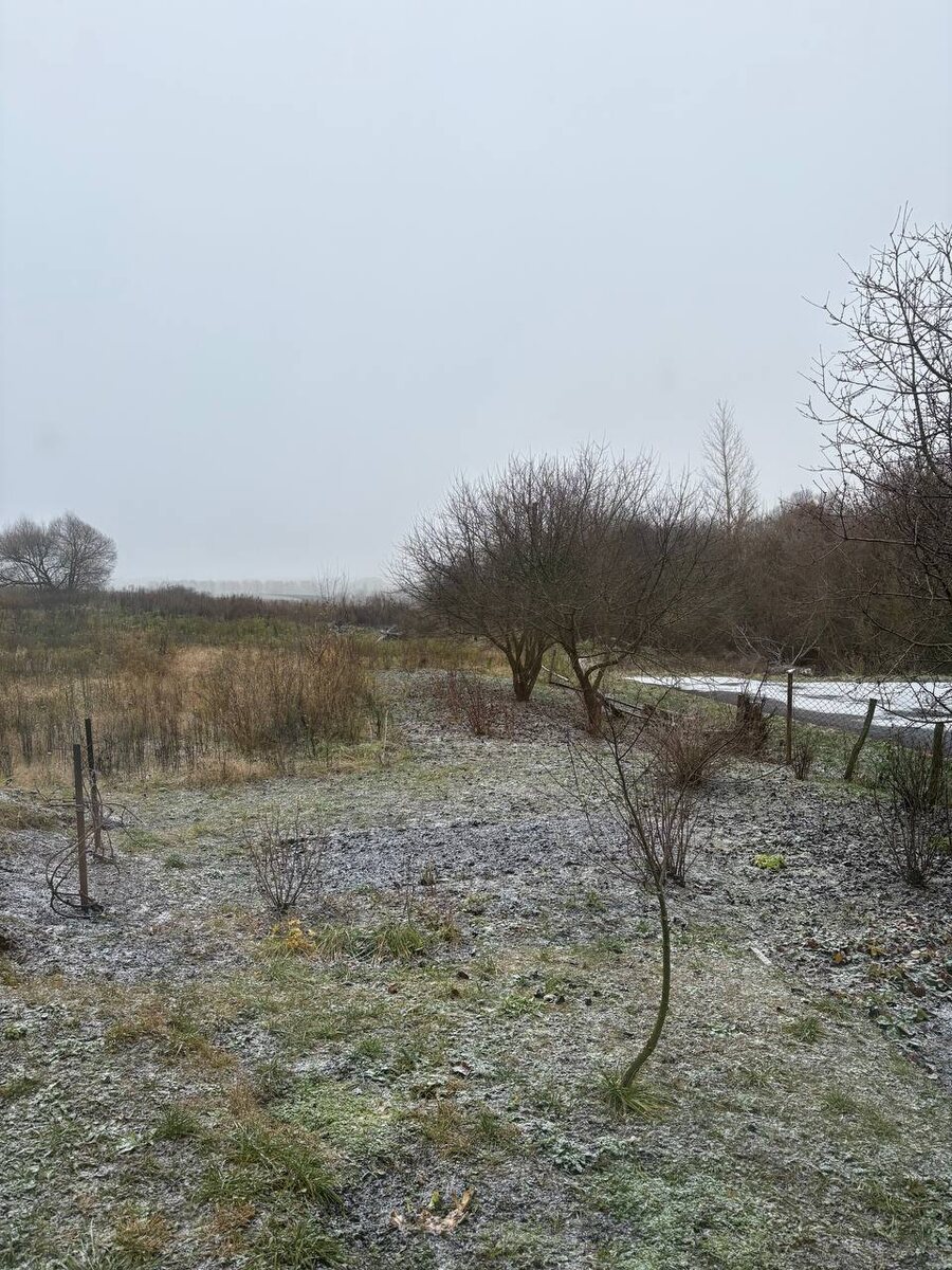 Уголок асфальта виден, там ещë что-то похожее на снег валяется 😃