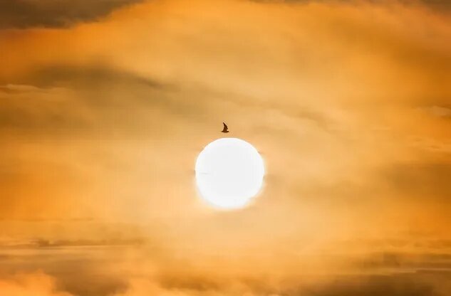    Источник фото: immunocap.ru