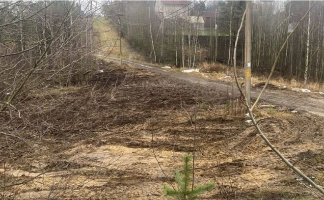    © Эконадзор Ленобласти