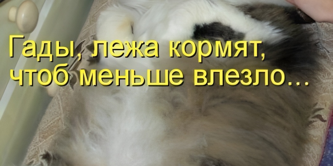 15 смешных картинок с надписями для поднятия настроения. Мы с дедулей не на одной волне