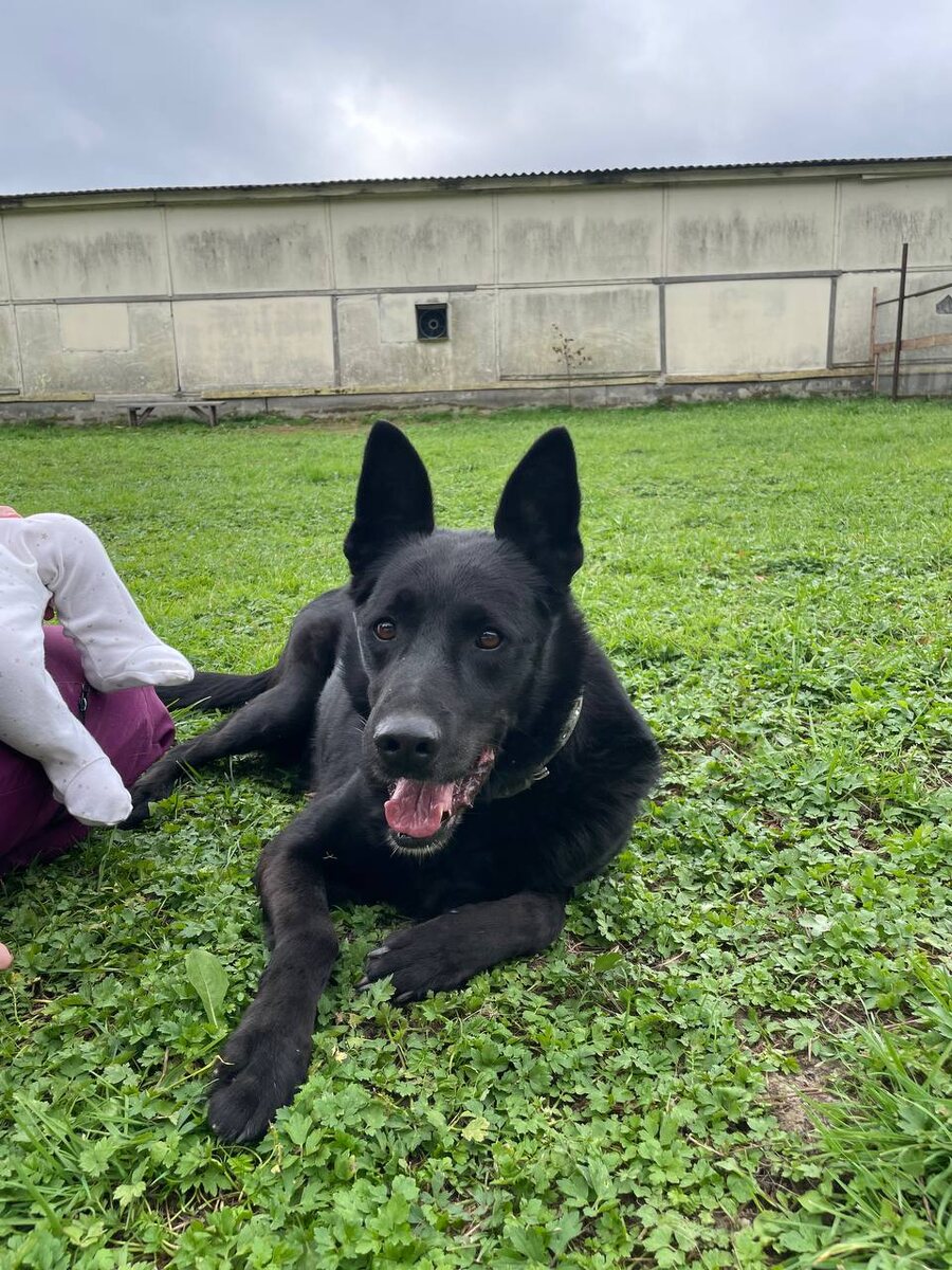 Красавчик Черчилль!