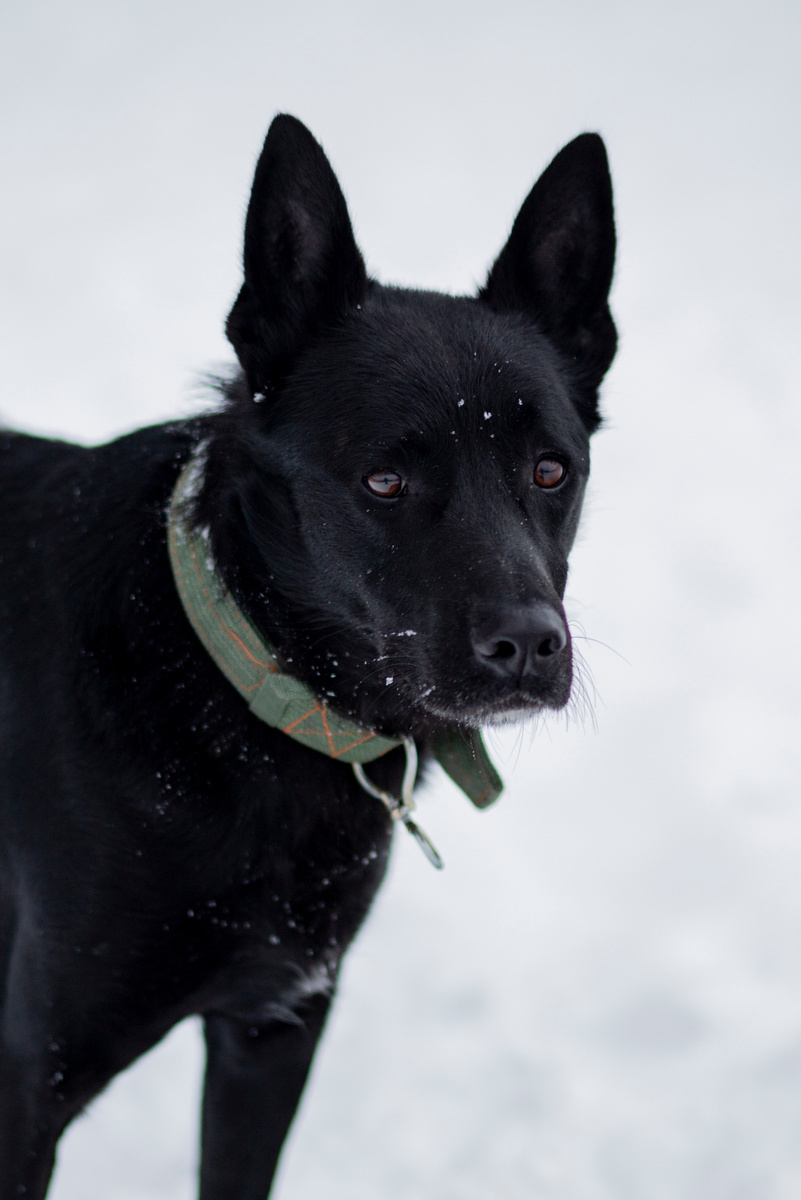 Как заколдовали. Может, дело в возрасте?
