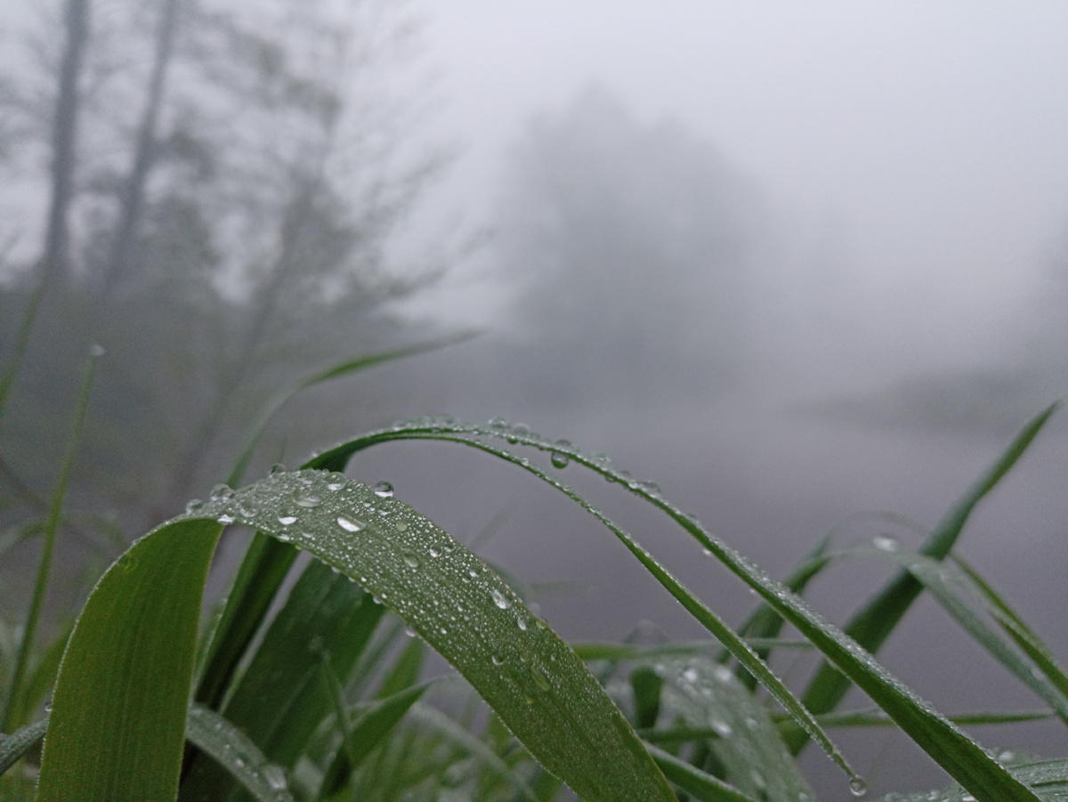 Туман на реке