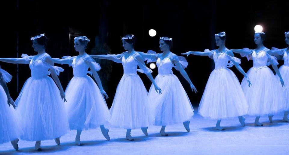    Московский областной государственный академический театр "Русский балет" им. В. Гордеева