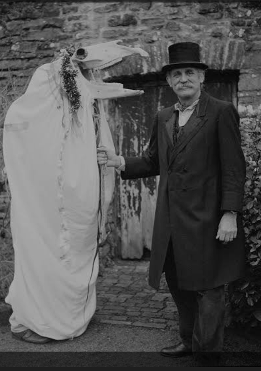 Разные зомби-лошади