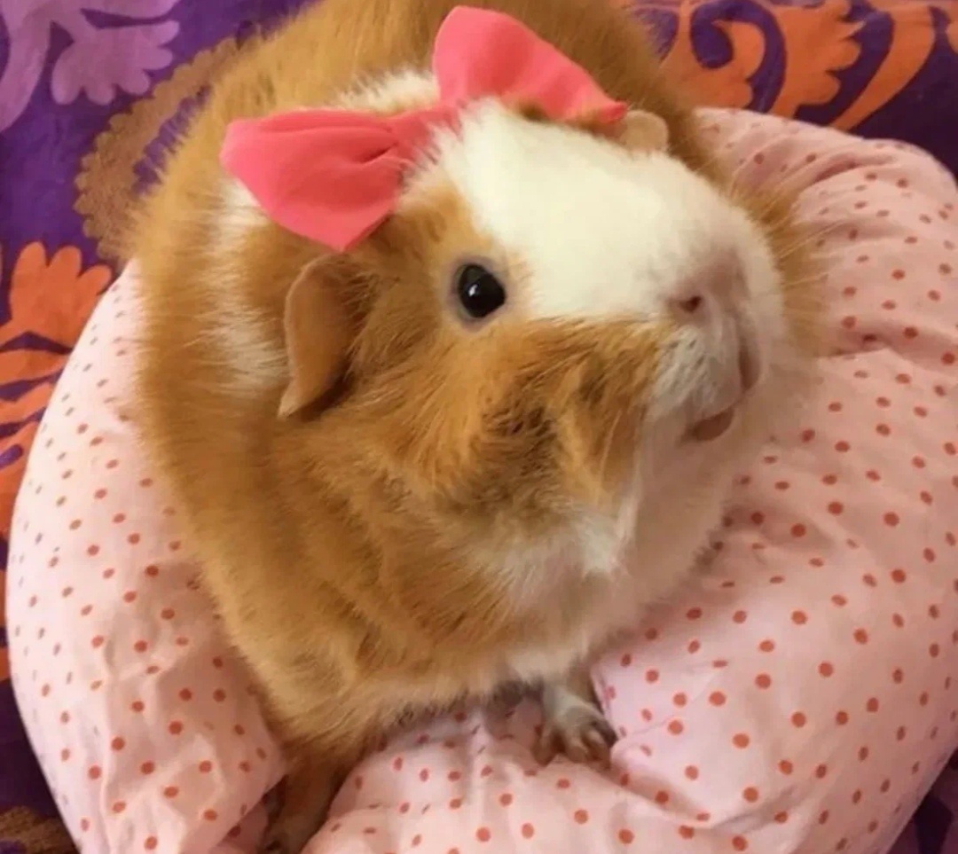 Фото из интернета